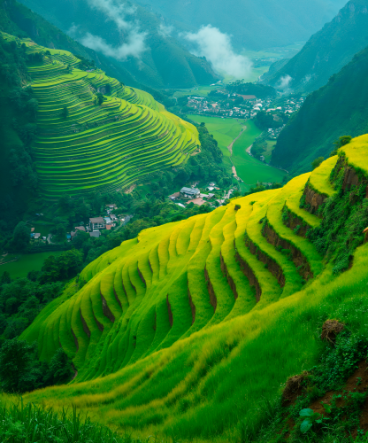 Assam